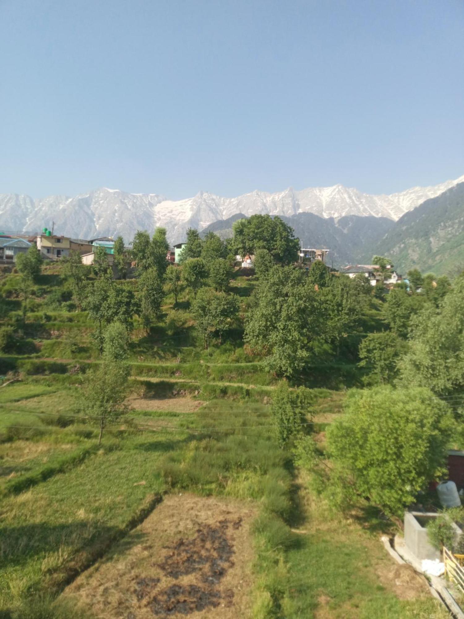 Nirmal Homestay ダラムシャーラー 部屋 写真