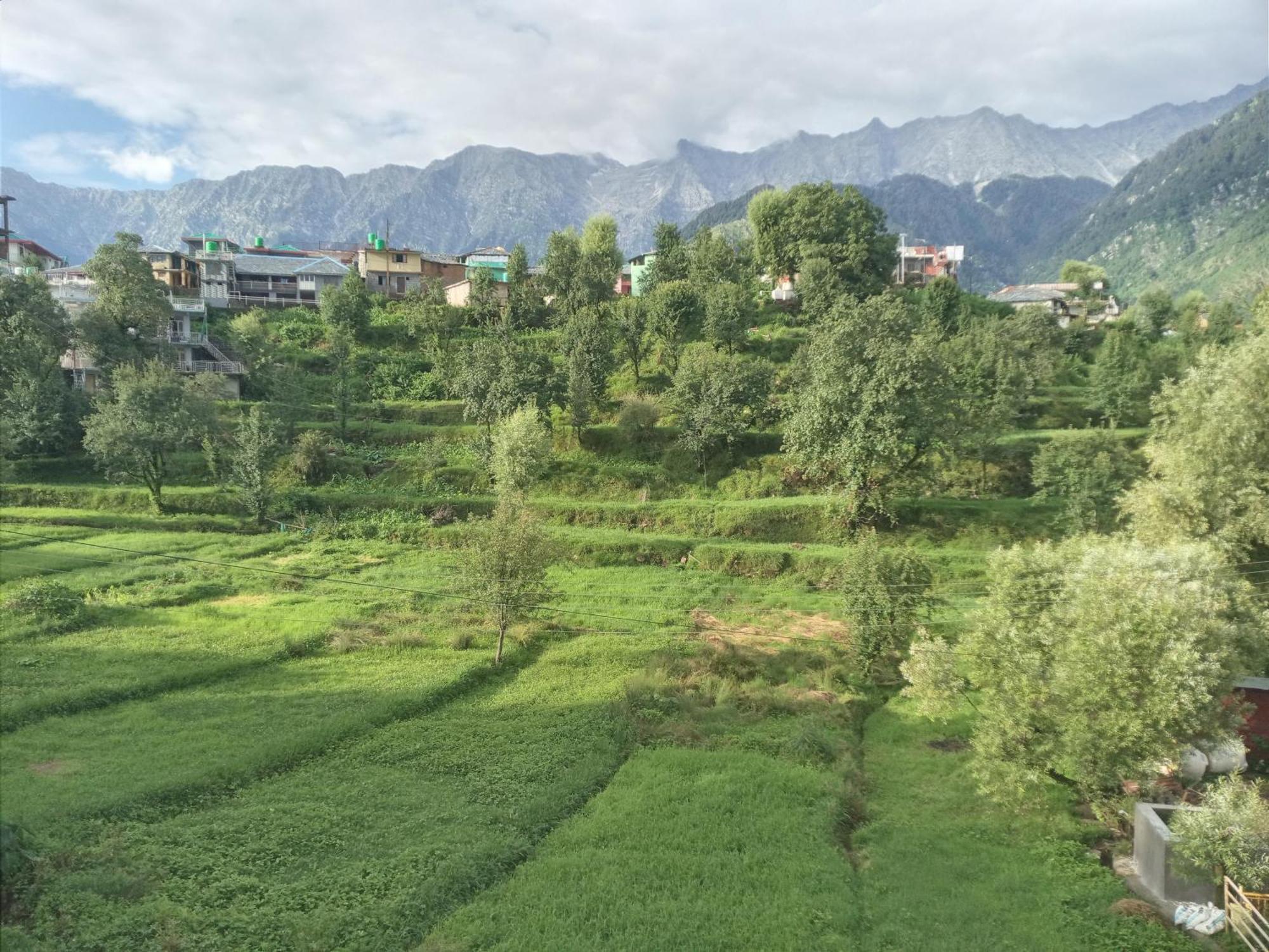 Nirmal Homestay ダラムシャーラー エクステリア 写真
